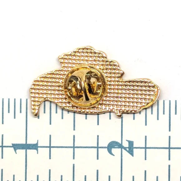 Raven & Roses Pin - Picture 2 of 4